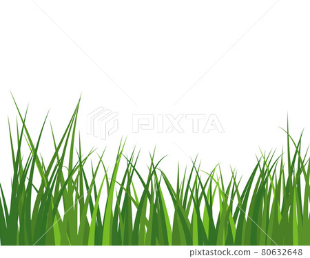Green Grass Meadow Green Grass Meadow 80632648