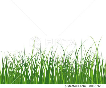 Green Grass Meadow Green Grass Meadow 80632649