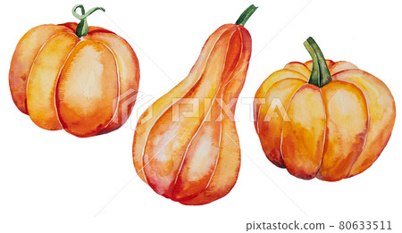 Autumn Watercolor collection with orange pumpkins Autumn Watercolor collection with orange pumpkins 80633511