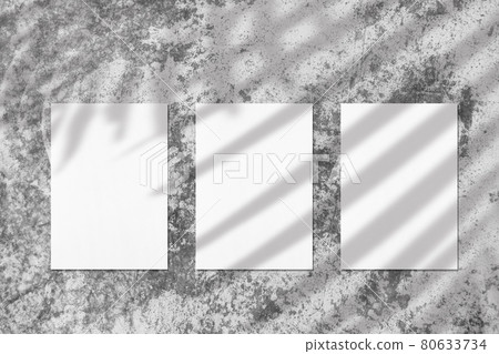 Three empty white vertical rectangle poster mockups with soft palm leaves shadow 80633734