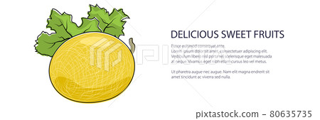 Yellow melon banner 80635735
