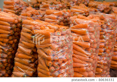 Bags with young fresh carrot prepared for sale. Freshly harvested carrots. Harvesting organic vegetables. Agriculture and farming. Selective focus 80636331