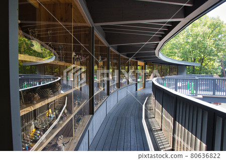 阿爾卑斯安住住公園（大町/松川區）森林體驗館 長野縣大町市 80636822