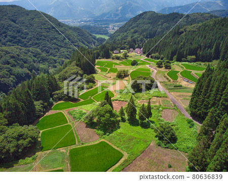 長野縣美麗的藍魔村白馬村的梯田景觀(無人機鳥瞰) 長野縣美麗的藍魔村白馬村的梯田景觀(無人機鳥瞰) 80636839