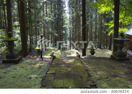 神秘的青鬼神社青鬼村 長野縣白馬村 神秘的青鬼神社青鬼村 長野縣白馬村 80636854