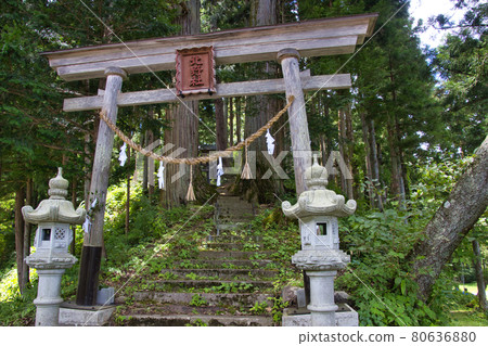 長野縣白馬村被杉樹林環繞的神秘北野神社 80636880