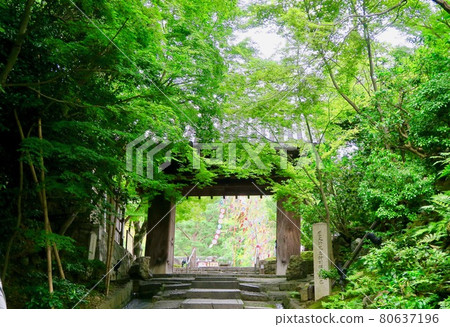 綠樹環繞的山門 80637196