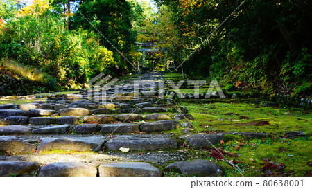 當地附近神社的樓梯和鳥居 80638001