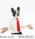 French Bulldog business man with hands extended 80638021