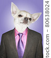 Chihuahua dressed business man 80638024