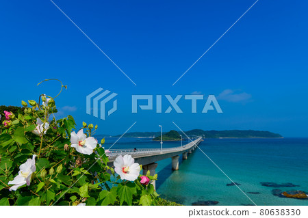 夏天Kakushima Ohashi 夏天Kakushima Ohashi 80638330