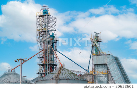 Agriculture silo at feed mill factory. Tank for store grain in feed manufacturing. Seed stock tower for animal feed production. Commercial feed for livestock and fish industries. Animal food factory. 80638601