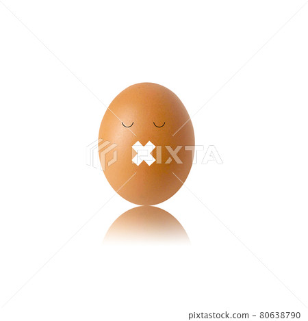 chicken egg and shadow on white background chicken egg and shadow on white background 80638790