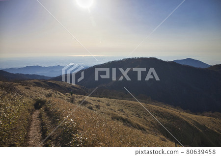 春天的丹澤山脈 Hirugatake 徒步旅行 80639458