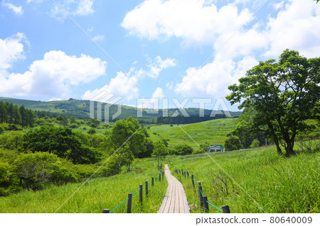 夏天屋島沼澤的霧峰 80640009