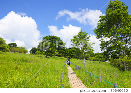 Kirigamine in summer Yashima Marsh 80640010