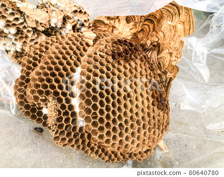 honeycomb honeycomb 80640780