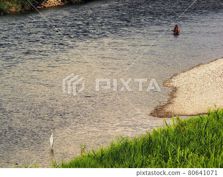 Ayu fisherman and heron on the Miomote River Ayu fisherman and heron on the Miomote River 80641071