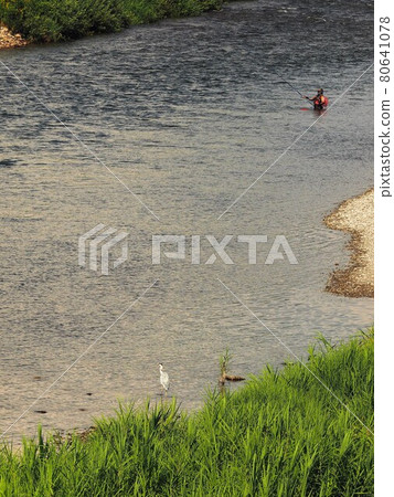 Ayu fisherman and heron on the Miomote River 80641078