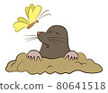 Cartoon Mole and Butterfly 80641518