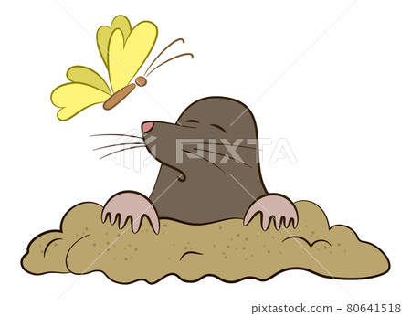 Cartoon Mole and Butterfly 80641518