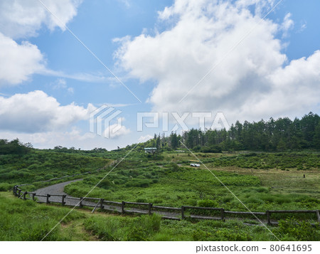 夏季（8月），沒有馬的高寶知高原草地賽馬場長野縣鹽尻市 80641695