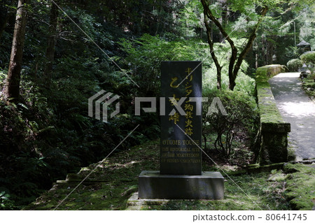 Otome Pass Otome Pass 80641745