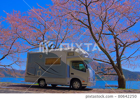 Cherry blossom viewing in a camper van at Kaizu Osaki, the northern end of Lake Biwa Cherry blossom viewing in a camper van at Kaizu Osaki, the northern end of Lake Biwa 80642250