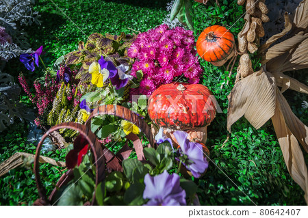 Autumn still life with flowers and pumpkin Autumn still life with flowers and pumpkin 80642407