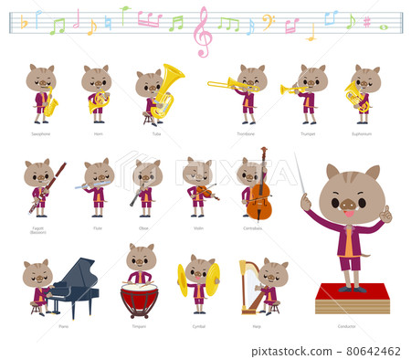 Boar boy set on classical music performance Boar boy set on classical music performance 80642462