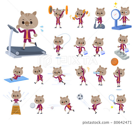 Boar boy set on exercise and sports Boar boy set on exercise and sports 80642471