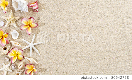 Frangipani tropical Ffower, plumeria and seashells, starfish on sand background, top view, copy space 80642758