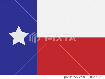 Vector flat Texas flag isolated Vector flat Texas flag isolated 80643170