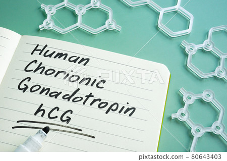 Human Chorionic Gonadotropin hCG written on the page. Human Chorionic Gonadotropin hCG written on the page. 80643403