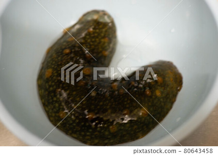 Sea cucumber 80643458