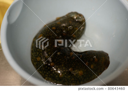 Sea cucumber Sea cucumber 80643460