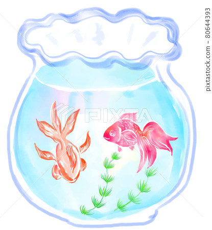 Two goldfish in a fishbowl Two goldfish in a fishbowl 80644393