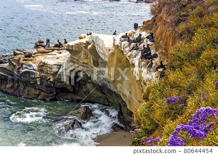 Day along coastal La Jolla. Day along coastal La Jolla. 80644454