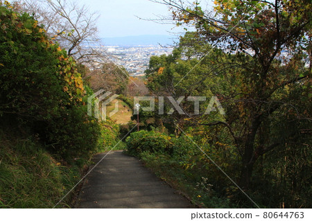 Asahiyama Park promenade (between the mountaintop and the parking lot) 80644763