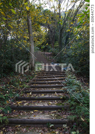 Asahiyama Park promenade (foot → parking lot) Asahiyama Park promenade (foot → parking lot) 80644773