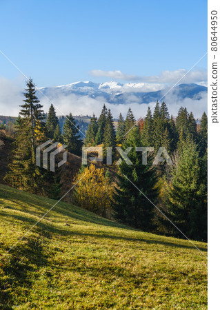 Late autumn mountain morning scene with snow covered tops in far and foggy clouds in valleys. Picturesque traveling, seasonal, nature and countryside beauty concept scene. Carpathians, Ukraine. 80644950