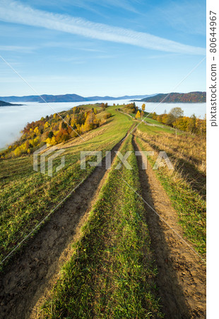 Morning foggy clouds in autumn mountain countryside.  Ukraine, Carpathian Mountains, Transcarpathia. Peaceful picturesque traveling, seasonal, nature and countryside beauty concept scene. 80644967