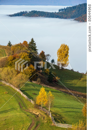 Morning foggy clouds in autumn mountain countryside.  Ukraine, Carpathian Mountains, Transcarpathia. Peaceful picturesque traveling, seasonal, nature and countryside beauty concept scene. 80644968
