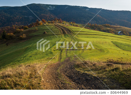 Autumn Carpathian Mountains and dirty countryside path, Ukraine. 80644969
