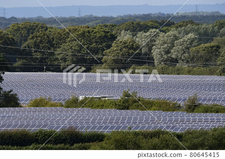Massed solar panels in sunshine in rural setting Massed solar panels in sunshine in rural setting 80645415