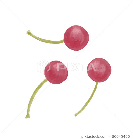 Hand-painted colored pencils, autumn nuts, pepperberry illustration 80645460