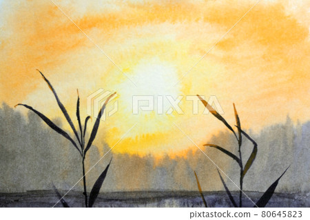 Orange evening sunny sky on river with reed leaves and forest. Watercolor illustration Orange evening sunny sky on river with reed leaves and forest. Watercolor illustration 80645823