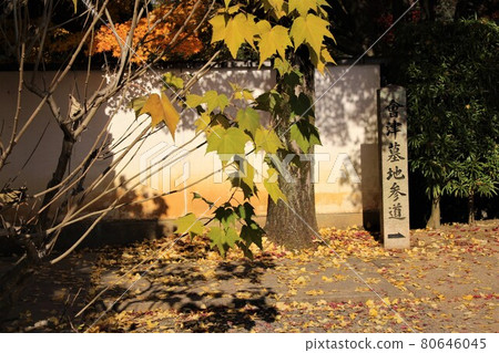 會津墓地方法 80646045