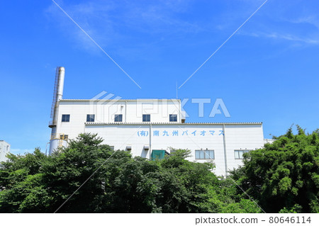 南九州生物質 南九州生物質 80646114
