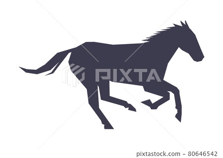 Graceful Racing Horse Silhouette, Derby, Equestrian Sport Vector Illustration Graceful Racing Horse Silhouette, Derby, Equestrian Sport Vector Illustration 80646542